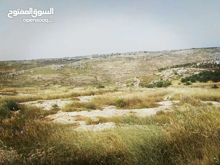 أرض زراعيّة تصلح لعمل مزرعة بأقل سعر في المنطقة