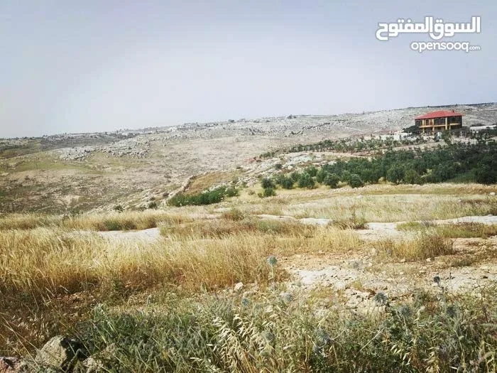 أرض زراعيّة تصلح لعمل مزرعة بأقل سعر في المنطقة