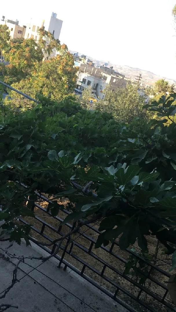 بيت مستقل في صويلح حي الإرسال