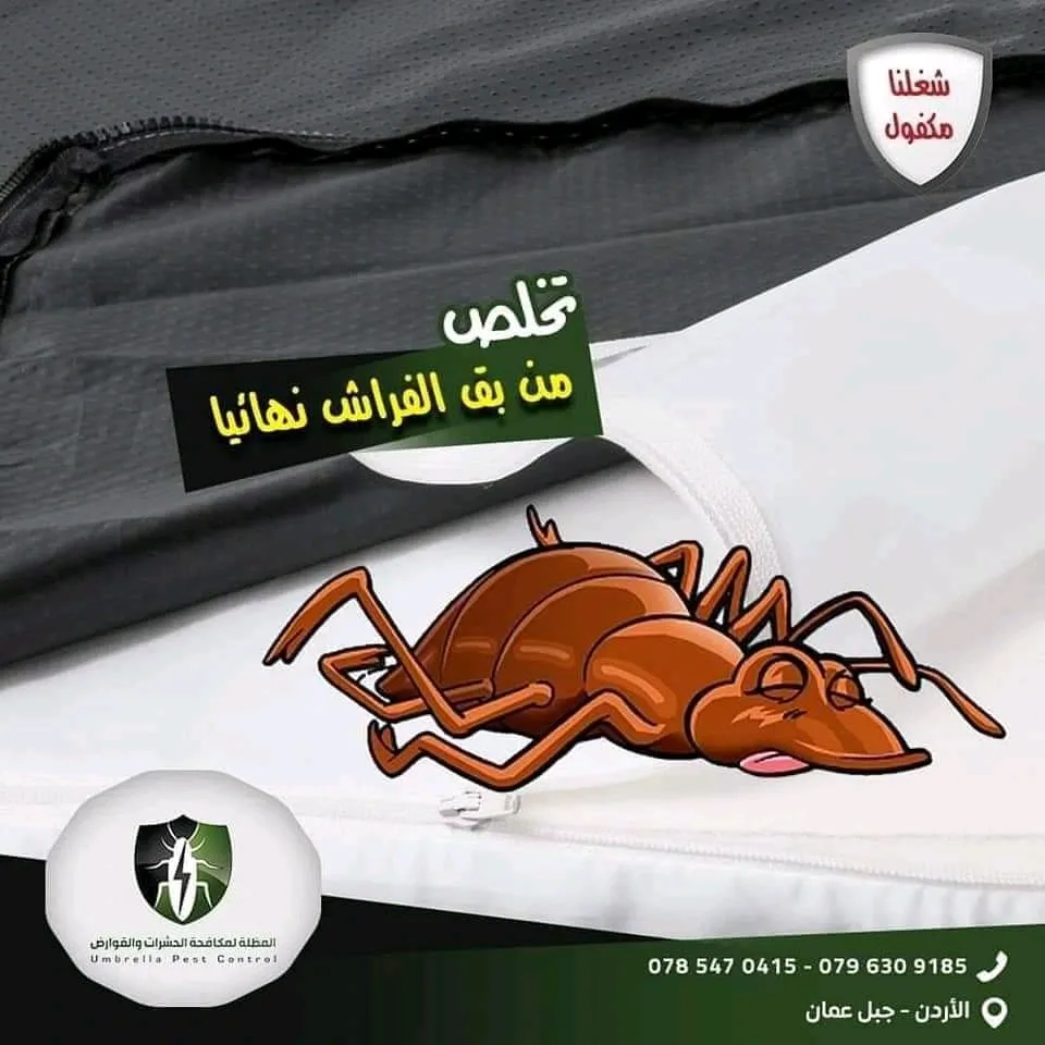 مكافحة بق الفراش