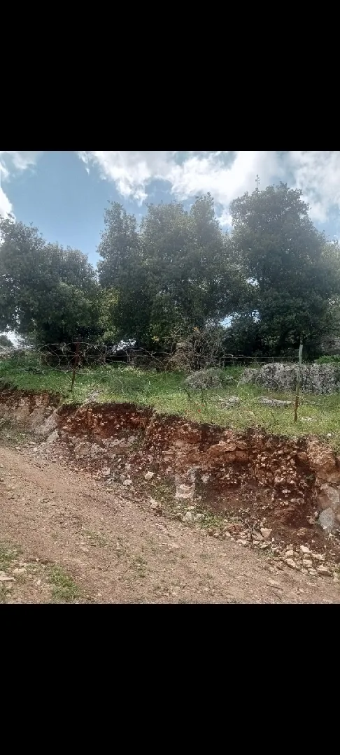 دونمين ارض للبيع في عجلون