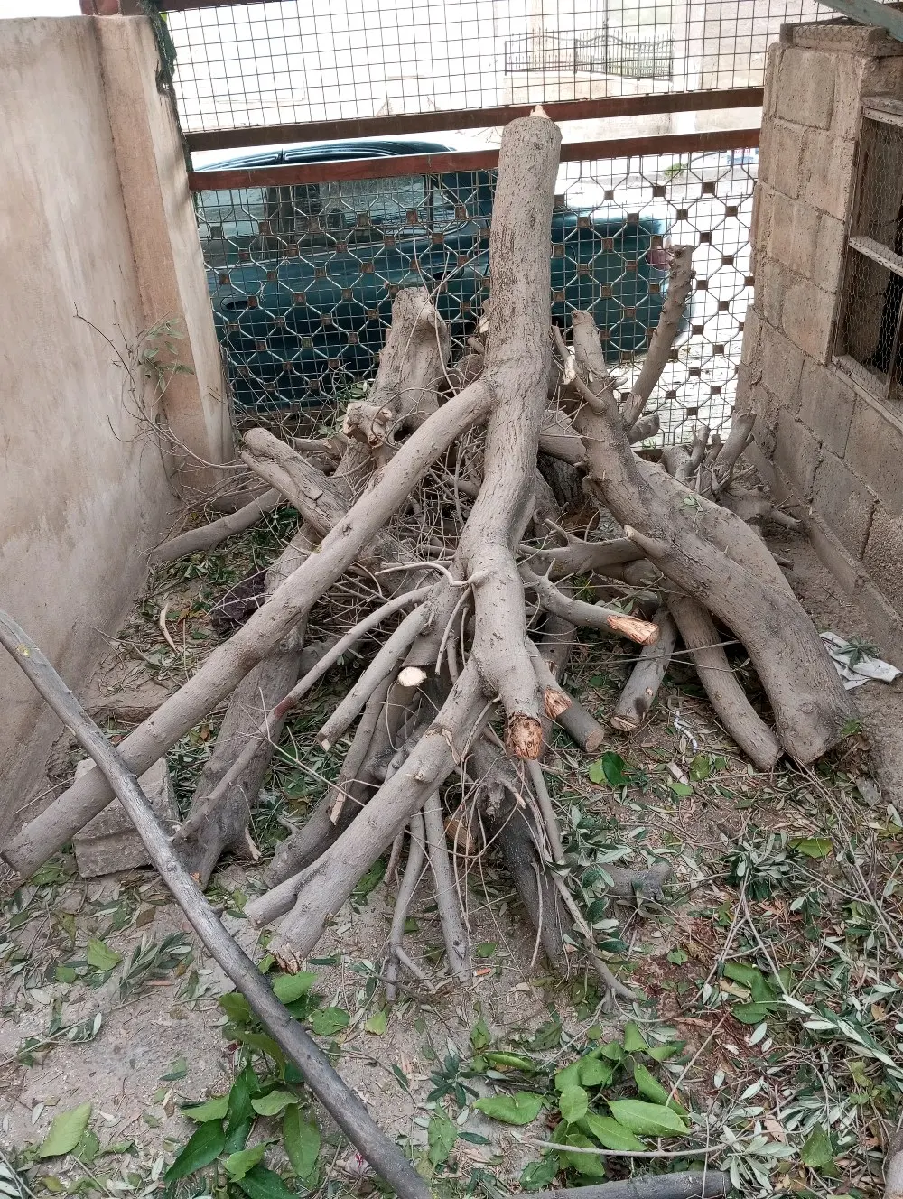 حطب للبيع