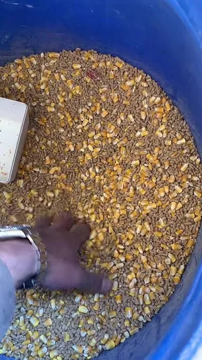 طعام وعلاج حيونات اليفه ❤