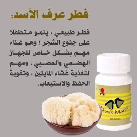 مكمل غذائي عرف الاسد