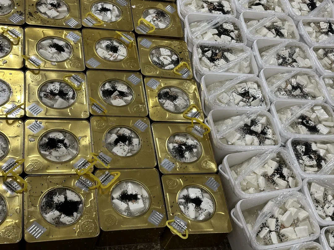 جبنة بلدية مغلية خير السنة