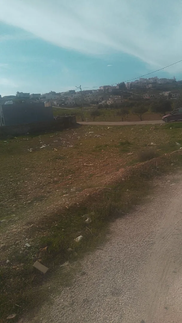 ارض للبيع