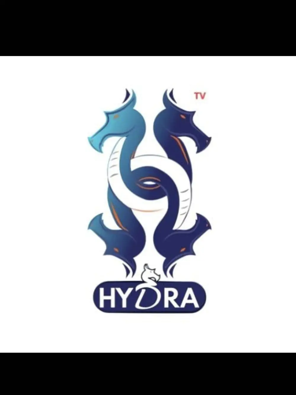 اشتراكات iptv