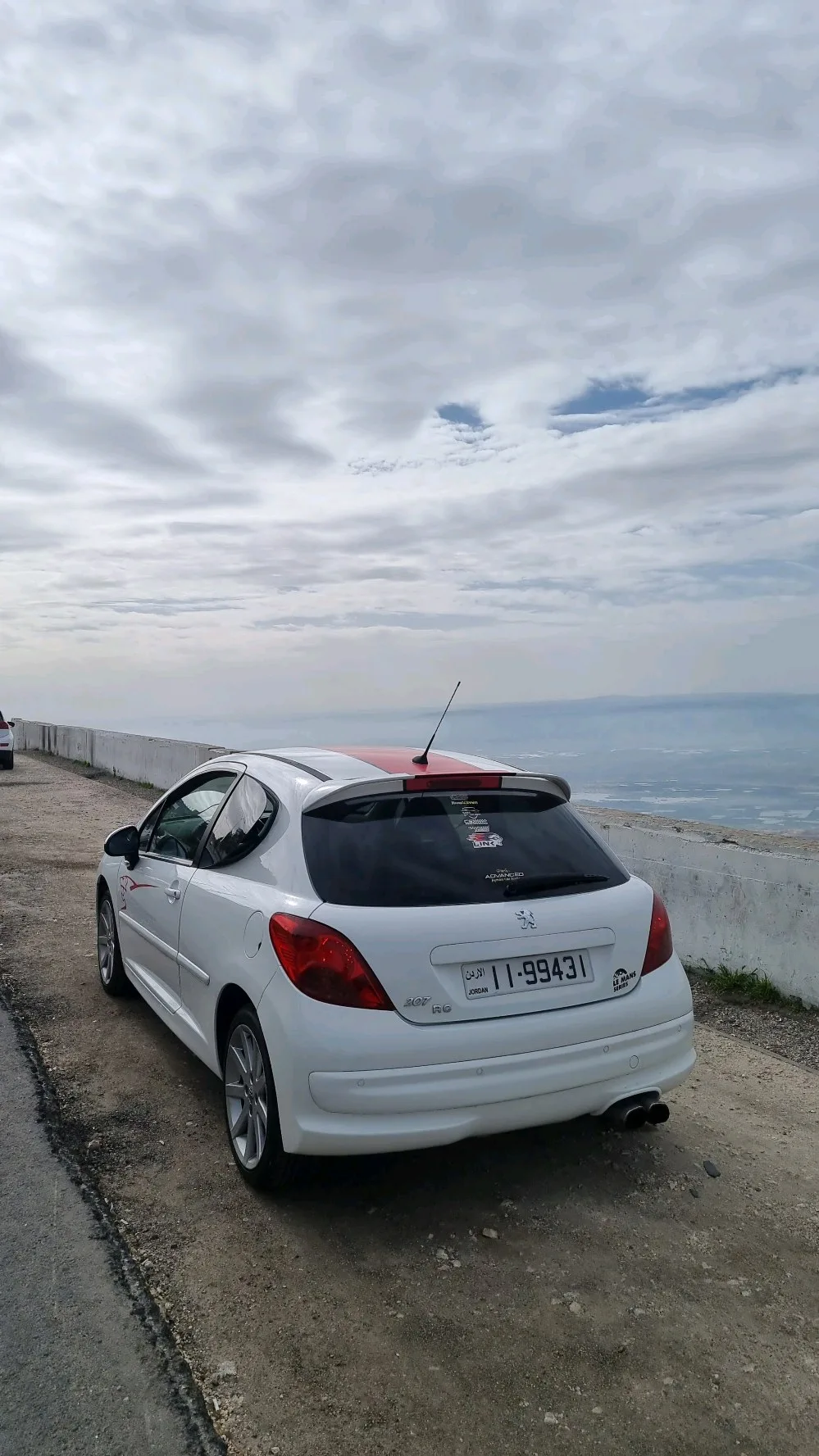 peugeot 207RC LE MANS