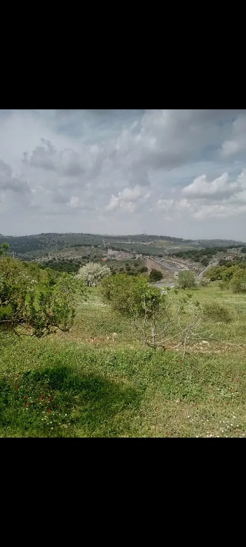 دونمين ارض للبيع في عجلون