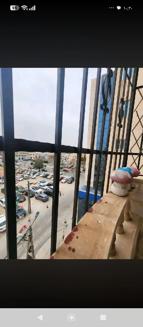 شقه اربد للبيع للاستفسار واتس