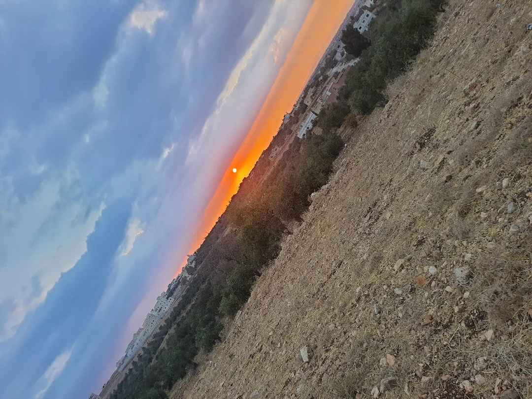 ارض للبيع مشترك