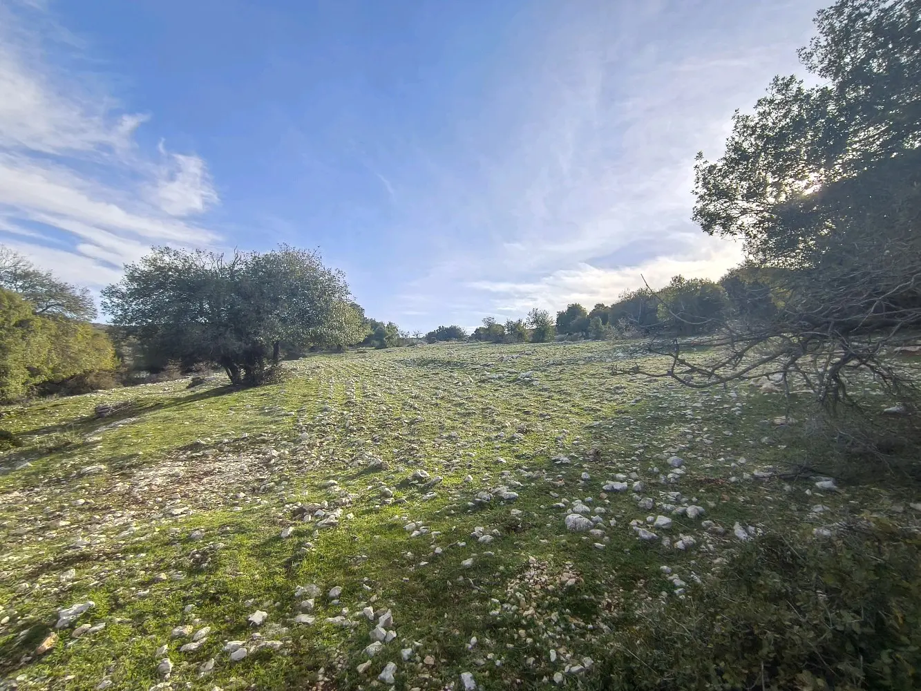ارض للبيع في جبال عين جنا عجلون بمساحة 3687 م2 بسعر 55 الف قابل للتفاوض