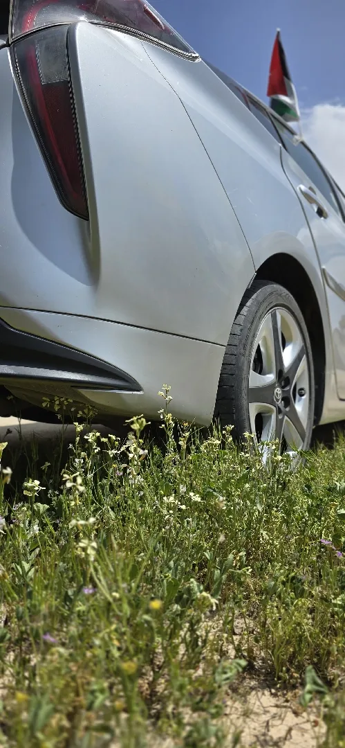 بريوس 2017 بريسونا امريكي