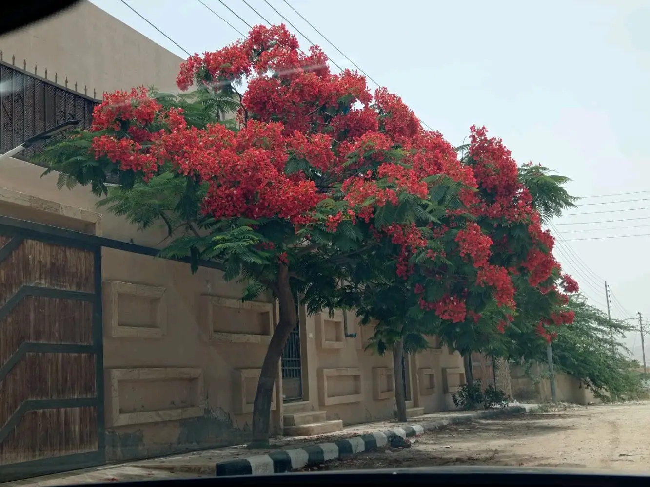 مزرعه وشاليه للبيع