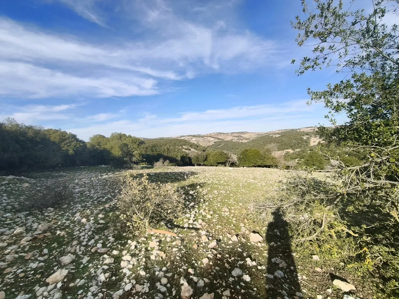 ارض للبيع في جبال عين جنا عجلون بمساحة 3687 م2 بسعر 55 الف قابل للتفاوض