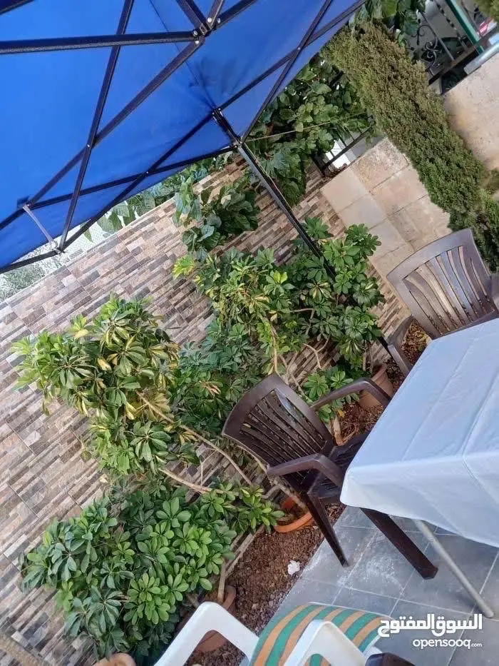 شقة ارضيه سوبر ديلوكس على مستوى الشارع في ارقى احياء الكماليه