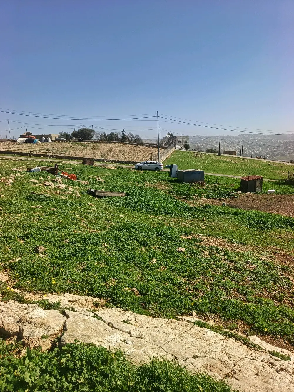 ارض سكن اخضر للبيع السلط نقب الدبور