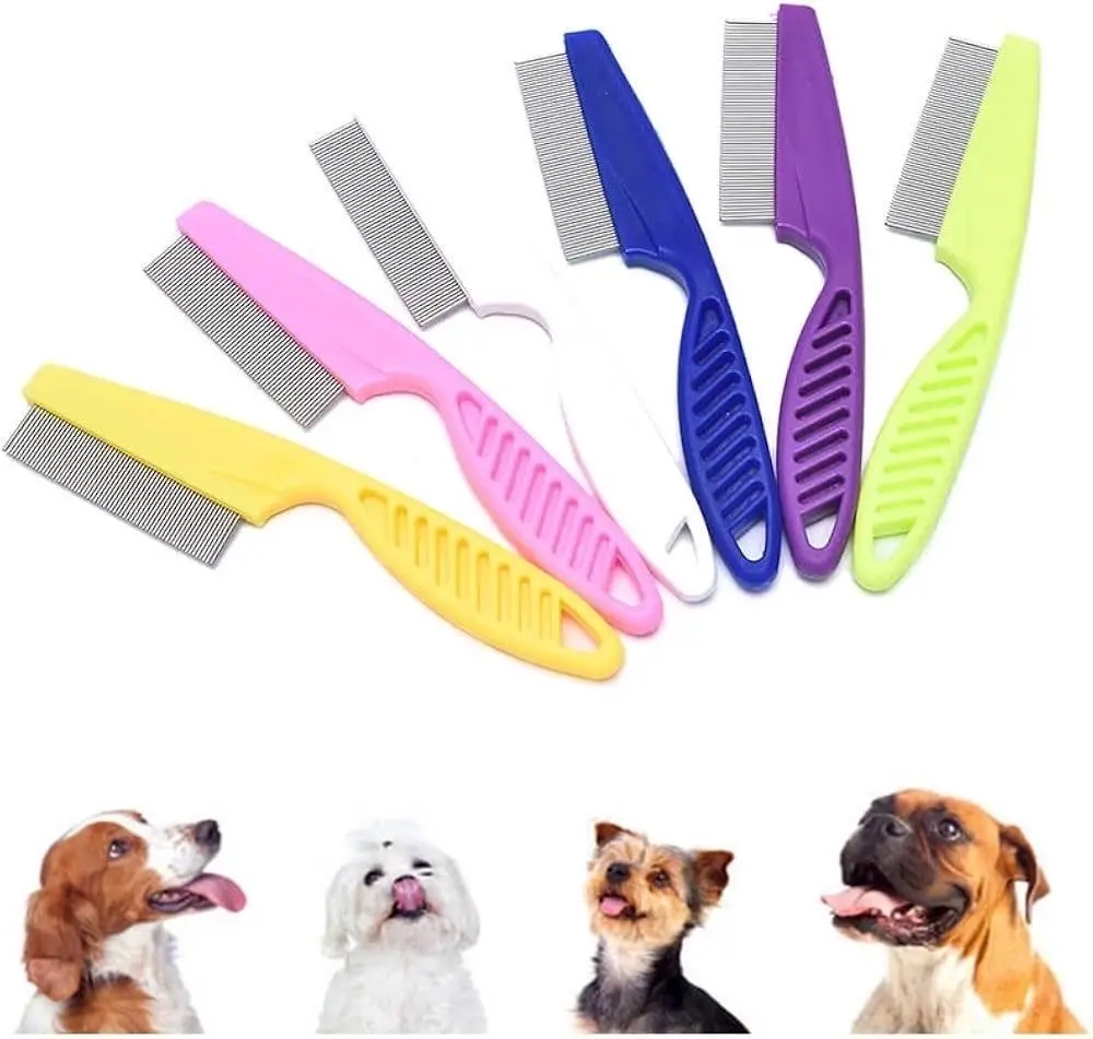 ‏تشكيلة أكسسوارات