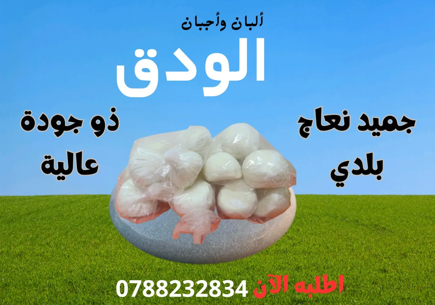 حميد بلدي ذو جودة عالية