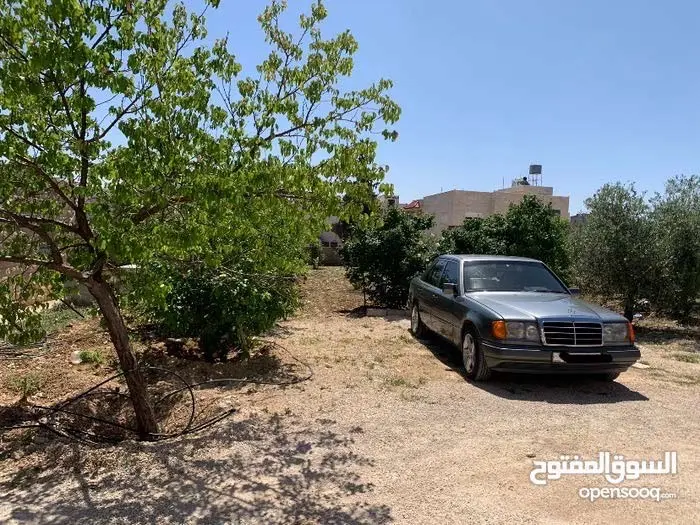 بناء تجاري و  سكني