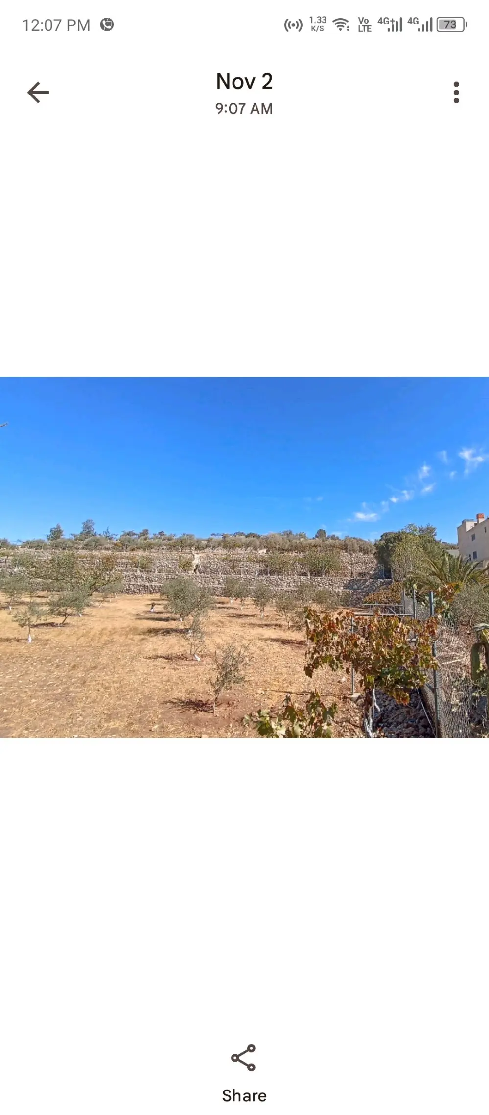 مزرعة للبيع في مادبا