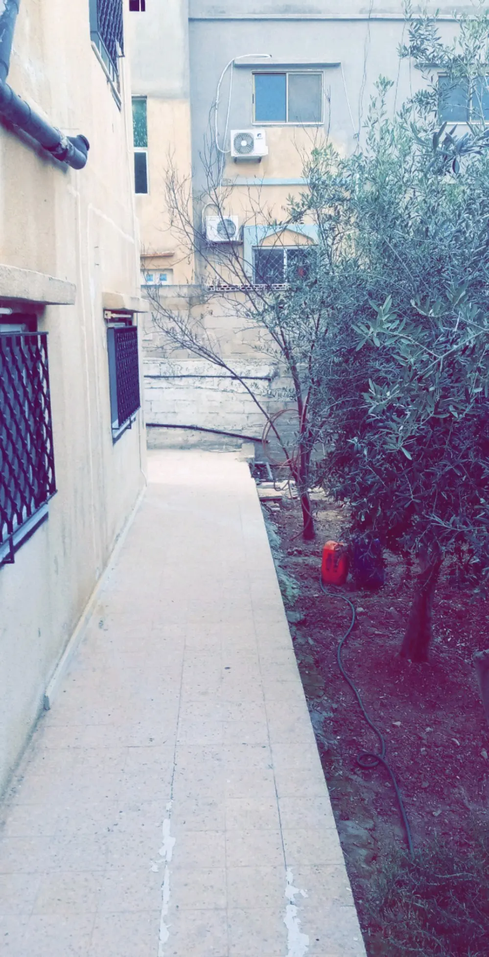 بيت مستقل بالإضافة لتسوية بمدخل مستقل للبيع