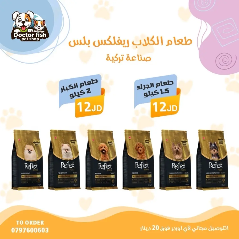 اكل قطط