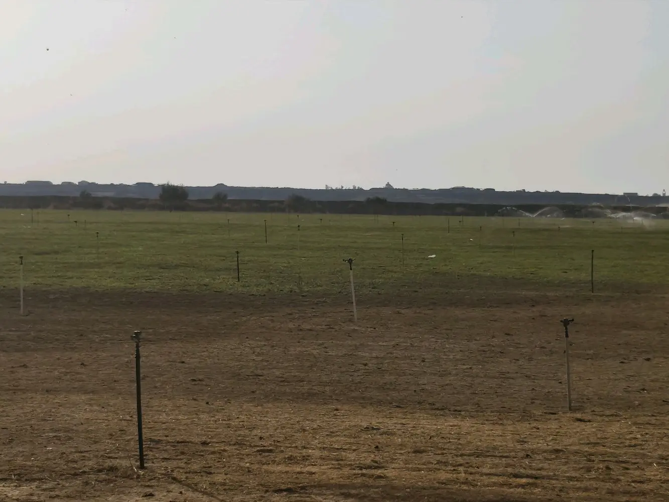 مزرعة استثمارية للبيع