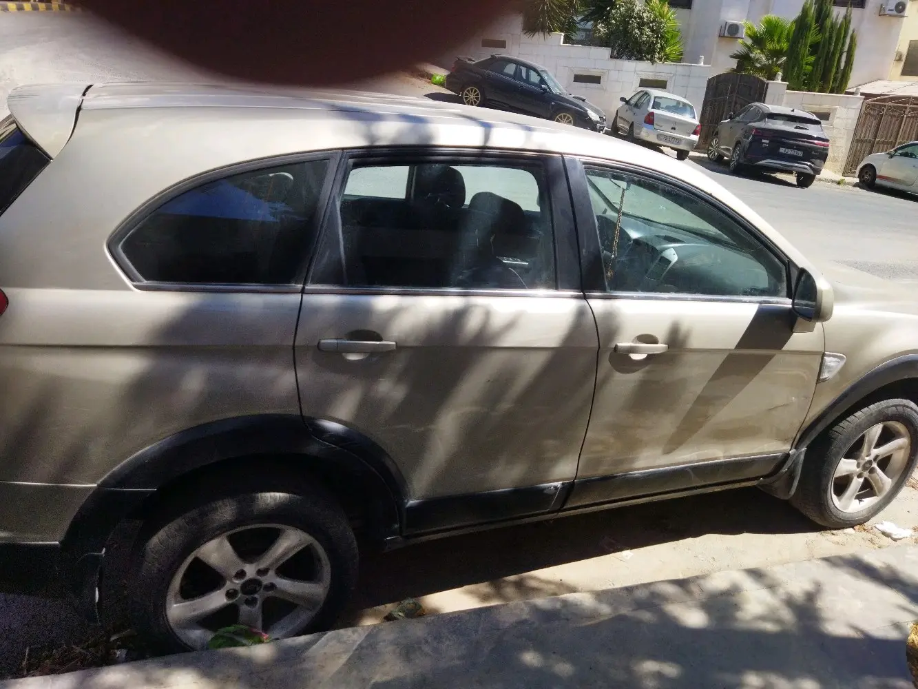 شفرليه كابتيفيا للبيع