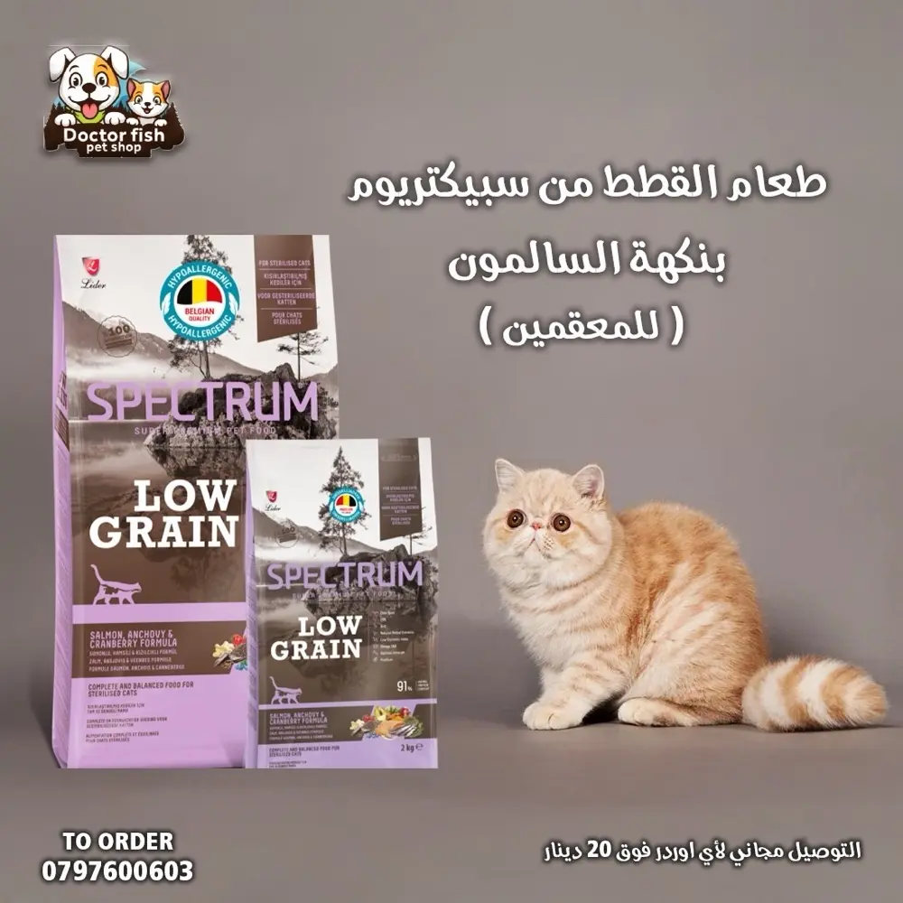 اكل قطط