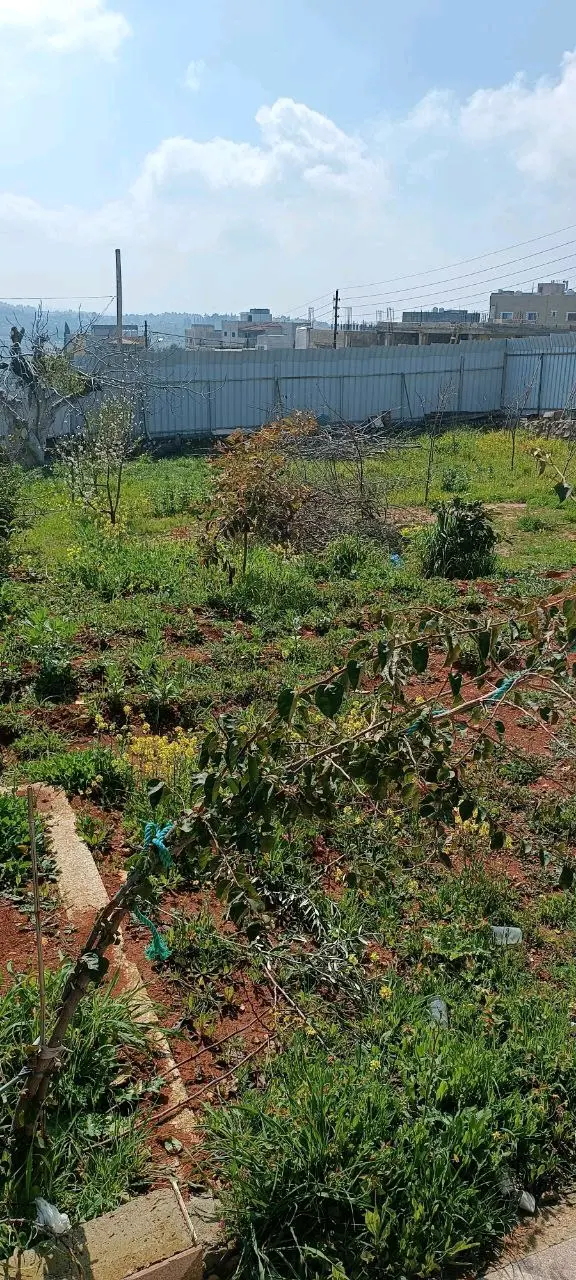 مزرعه للبيع بسعر تفضلي