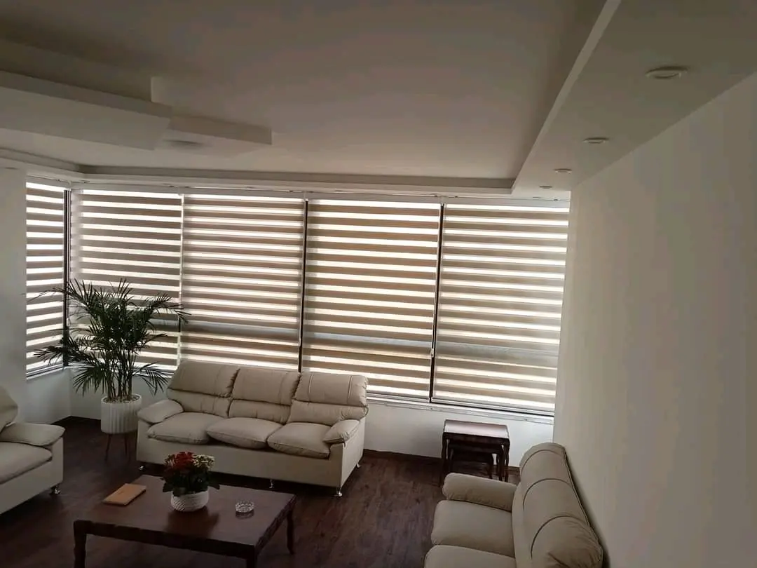 برادي زيبرا تفصيل المتر المربع ابتداءا من 4.99د