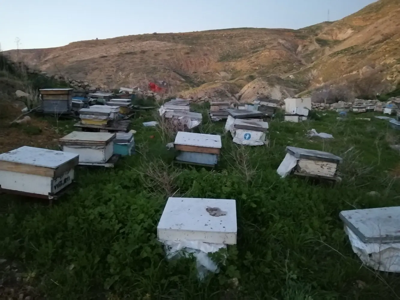 مناحل وعسل المملكه٠٧٧٢١٣٥١٤٣