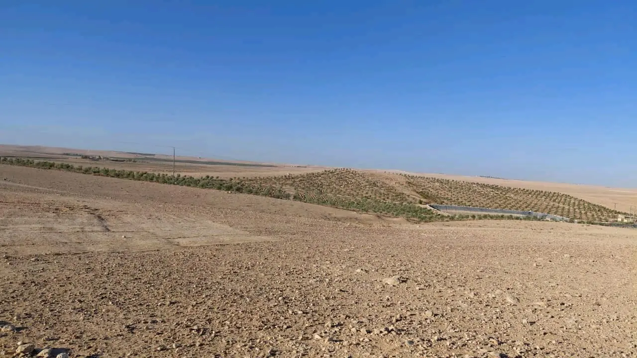 تملك ٣ دونم ونص فقط ٦ الاف دينار بالاقساط