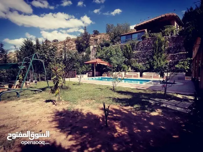مزرعه مع فيلا ومسبح في العالوك للبيع