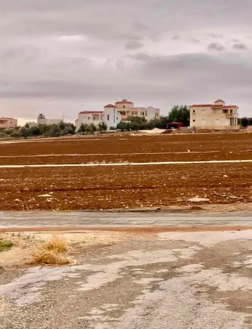 ارض للبيع في جلول