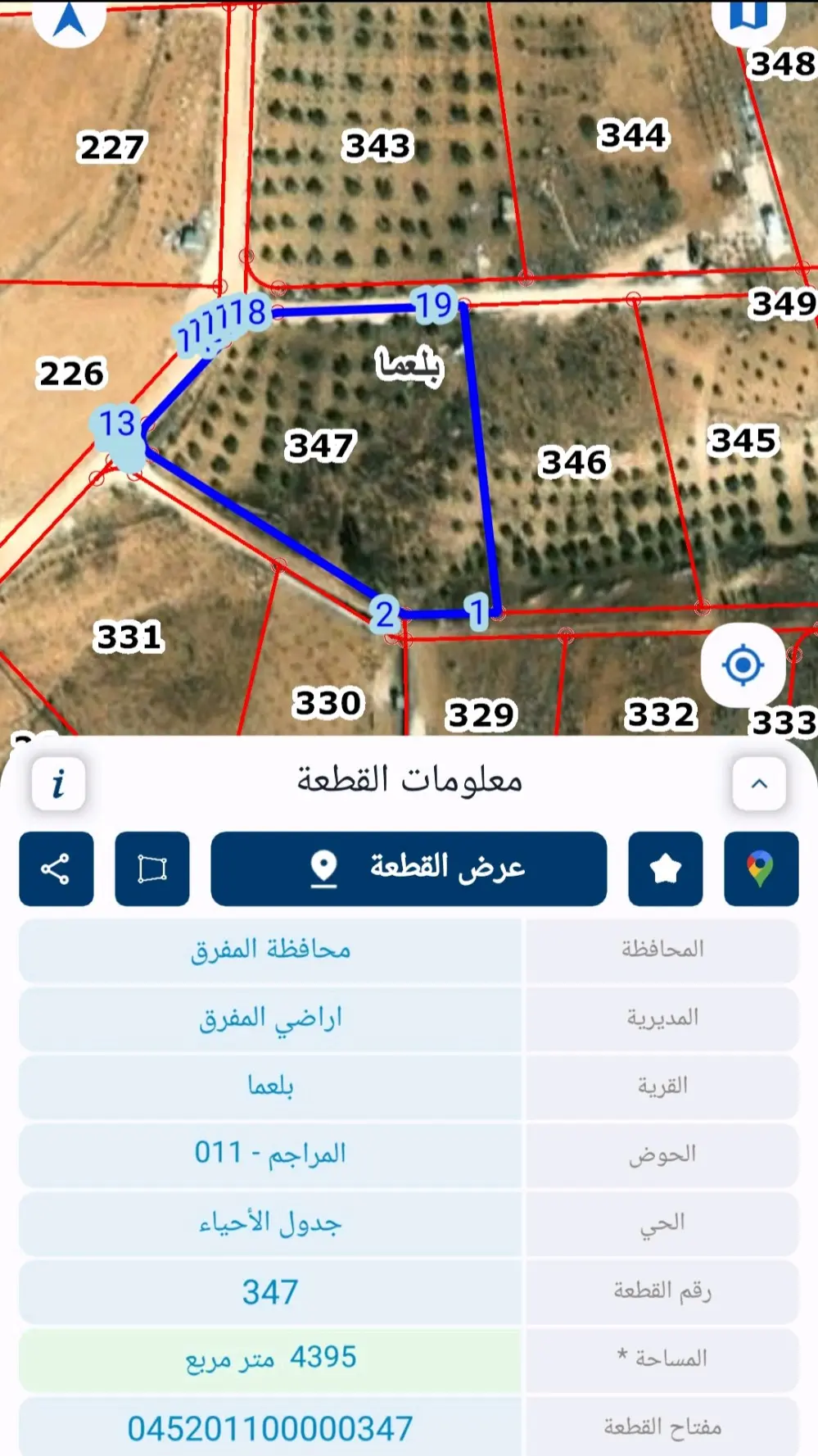 مزرعة بلعما للبيع