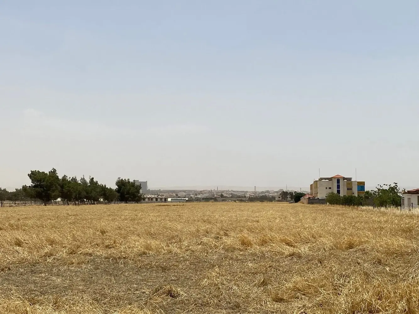 🏡 أرض للبيع في شمال الأردن – الرمثا، محافظة إربد