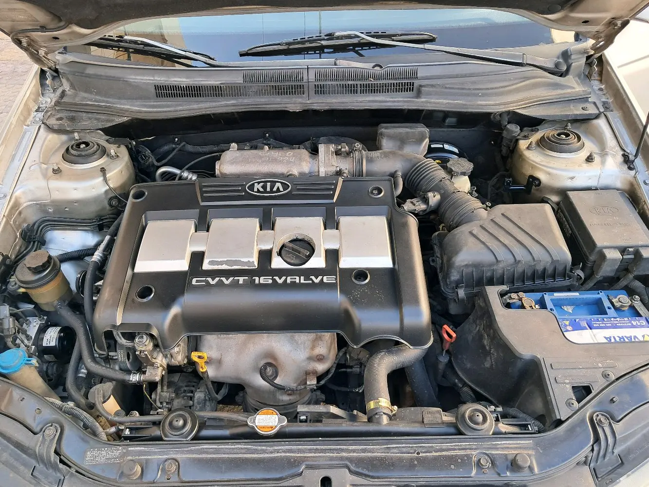 كيا سيراتو 2004 Gold