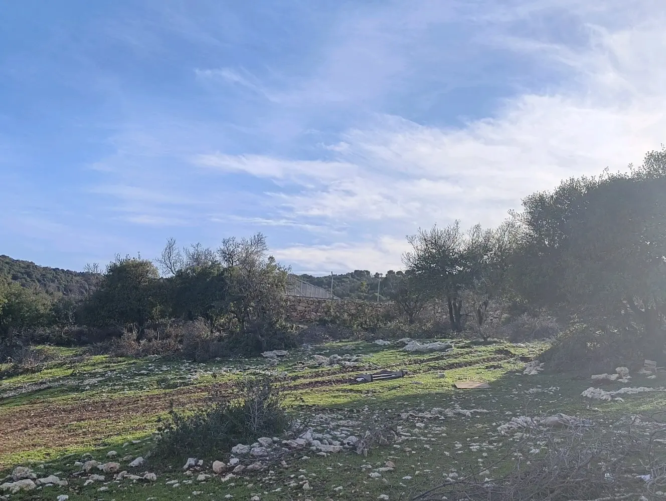 ارض للبيع في جبال عين جنا عجلون بمساحة 3687 م2 بسعر 55 الف قابل للتفاوض