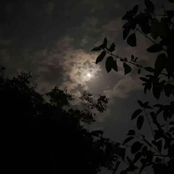 إيمان إدريس